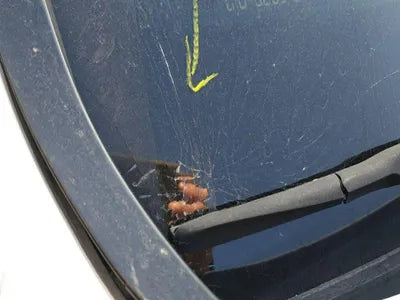 2019 Hyundai Santa FE KMHS581CDKU124309 VIN:KMHS581CDKU124309