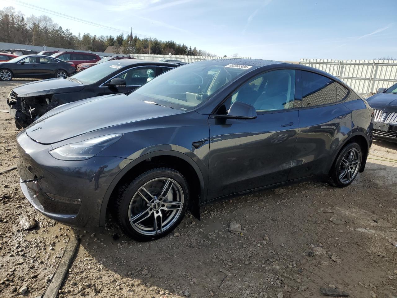 2024 TESLA MODEL Y  VIN:7SAYGDEE4RA281227