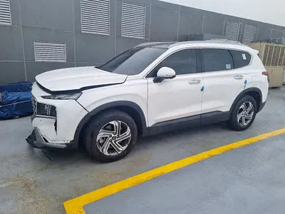 2023 Hyundai Santa FE KMHS381LHPU462244 VIN:KMHS381LHPU462244