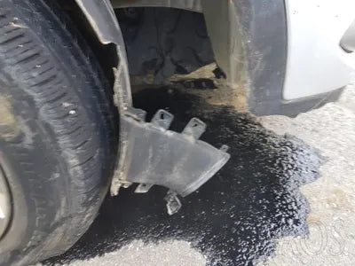 2017 Hyundai Santa FE KMHSW81UDHU736226 VIN:KMHSW81UDHU736226