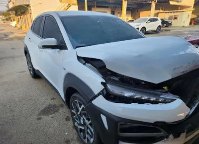 2020 Hyundai Kona KMHK381EGLU028060 VIN:KMHK381EGLU028060