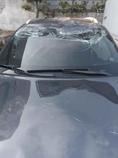 2019 Kia Sorento KNAPK81BDKA504403 VIN:KNAPK81BDKA504403