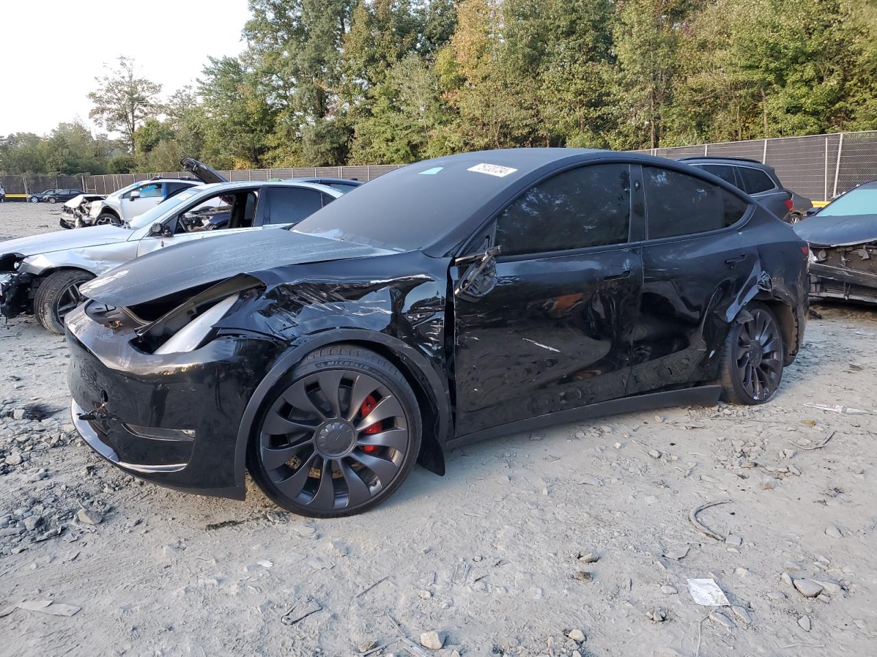 2023 TESLA MODEL Y  VIN:7SAYGDEF8PF893245