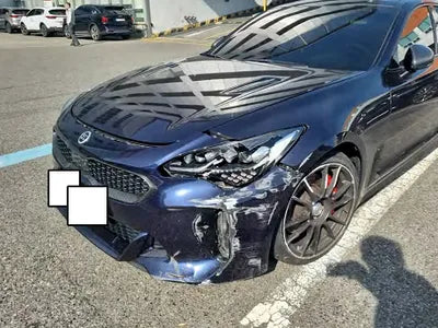 2018 Kia Stinger KNAE751CBJS005344 VIN:KNAE751CBJS005344