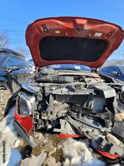 2019 Hyundai Santa FE KMHS281BBKU182582 VIN:KMHS281BBKU182582