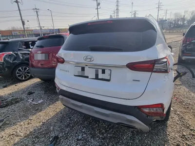 2019 Hyundai Santa FE KMHS381ADLU216986 VIN:KMHS381ADLU216986