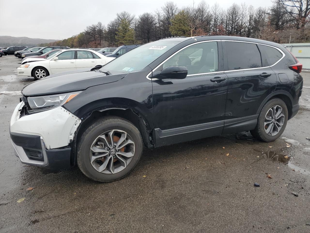 2022 HONDA CR-V EXL VIN:2HKRW2H86NH654149