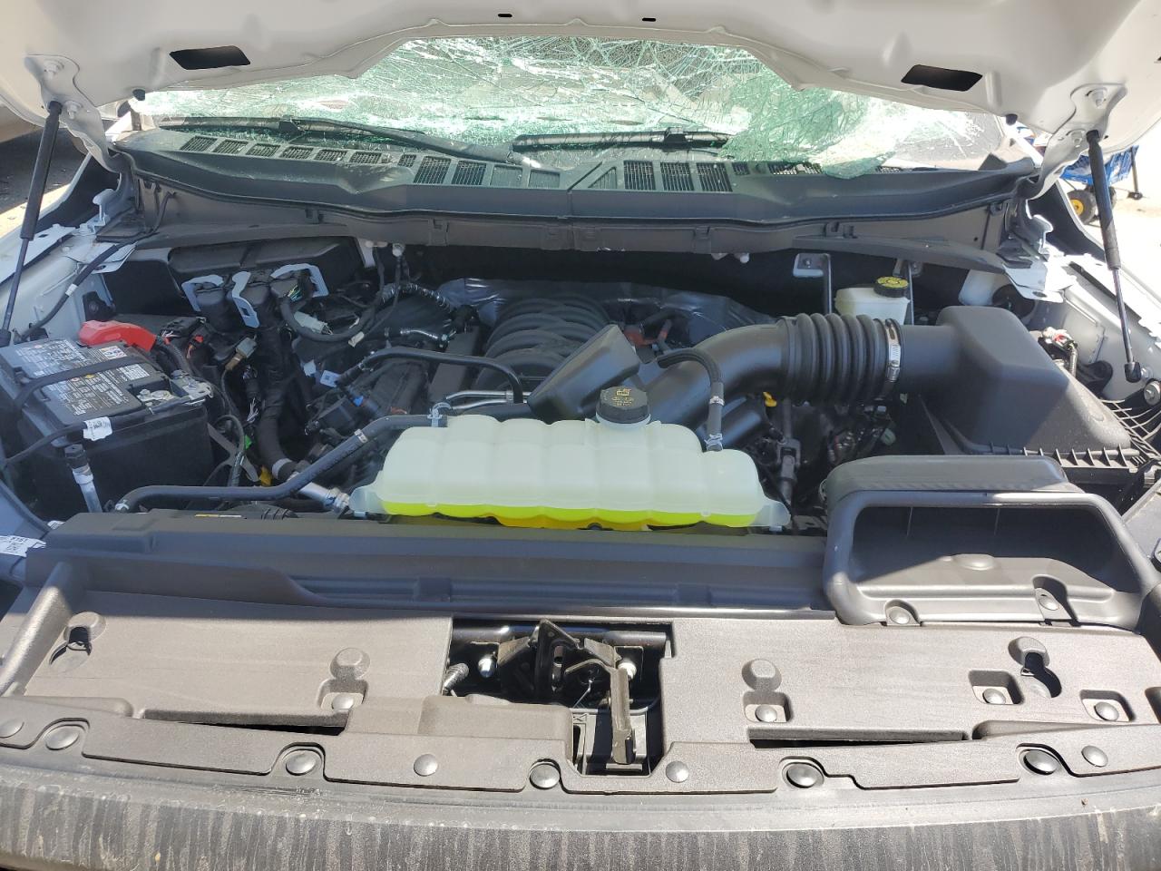 2024 FORD F150 XL VIN:1FTFW1L50RKD66323