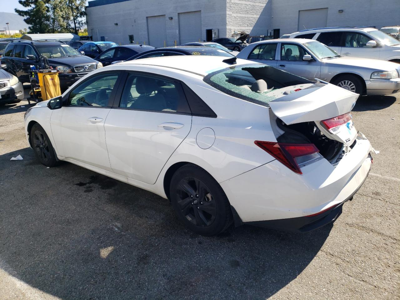 2023 HYUNDAI ELANTRA SEL VIN:5NPLM4AG6PH114912