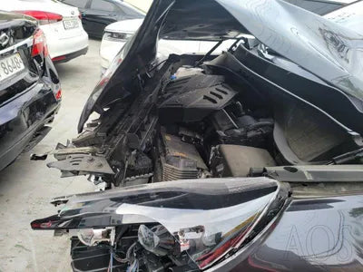 2019 Kia Sorento KNAPS81ABLA607195 VIN:KNAPS81ABLA607195