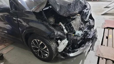 2021 Kia Carnival KNANB81BBMS055562 VIN:KNANB81BBMS055562
