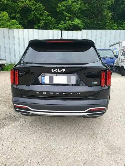 2022 Kia Sorento KNARL81GBNA105043 VIN:KNARL81GBNA105043