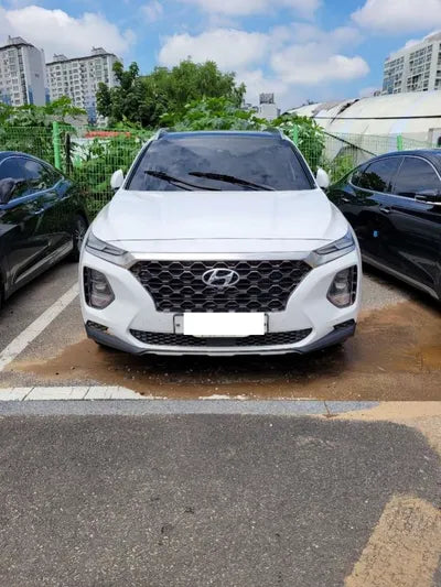 2019 Hyundai Santa FE 000KMHS381BBKU102 VIN:000KMHS381BBKU102