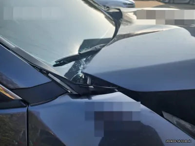 2021 Toyota RAV4 JTMDWRFV3MD094011 VIN:JTMDWRFV3MD094011