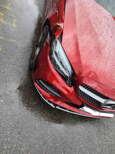 2019 Mercedes-Benz C 220 WDDWF1FB5KR491743 VIN:WDDWF1FB5KR491743