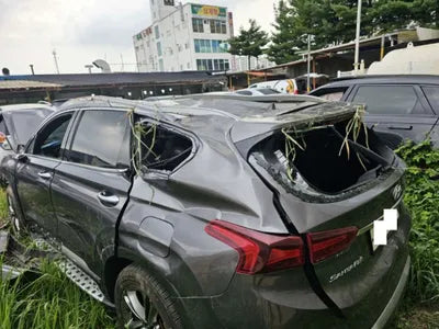 2019 Hyundai Santa FE KMHS581ABKU159014 VIN:KMHS581ABKU159014