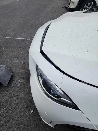 2019 Mercedes-Benz CLS 450 VIN: