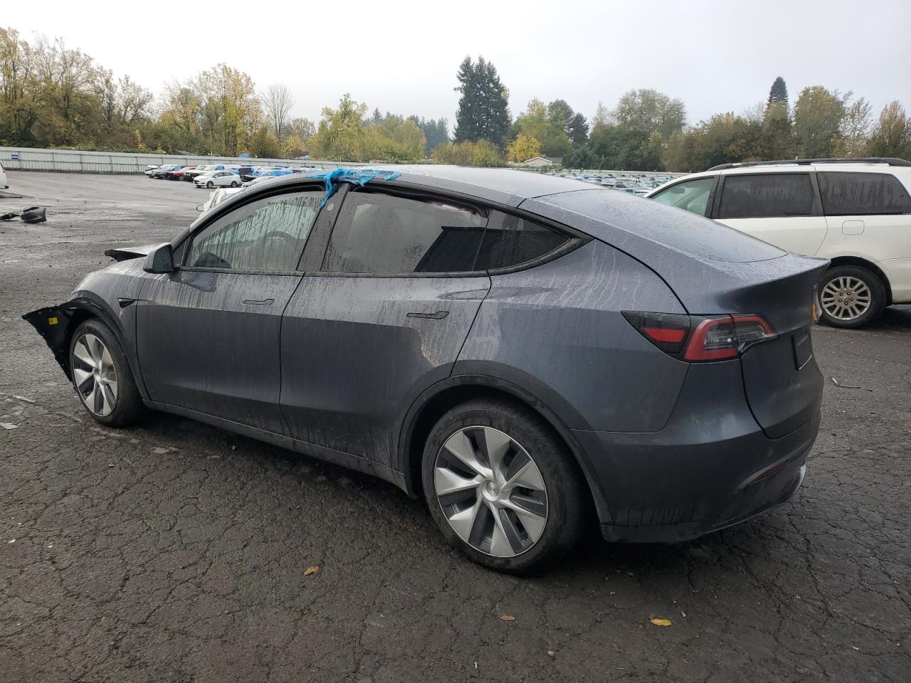 2023 TESLA MODEL Y  VIN:7SAYGDEE7PF809939