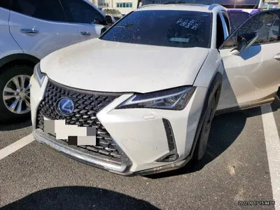 2020 Lexus UX 250 JTHP6JBH5L2073913 VIN:JTHP6JBH5L2073913