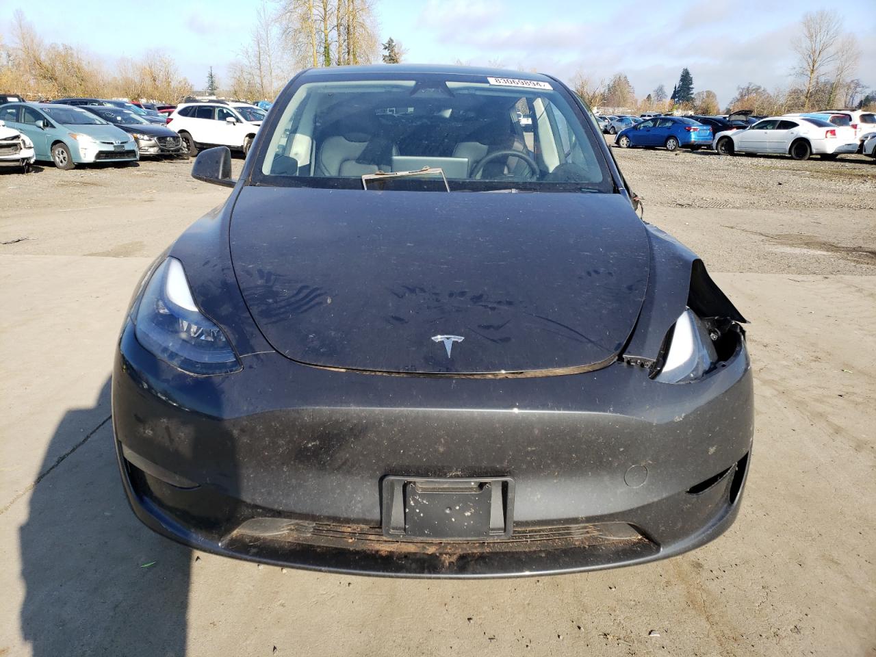 2024 TESLA MODEL Y  VIN:7SAYGDEE6RF151288