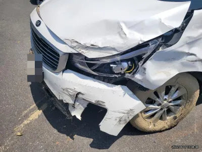 2016 Kia Carnival KNHMF37ABGS234094 VIN:KNHMF37ABGS234094