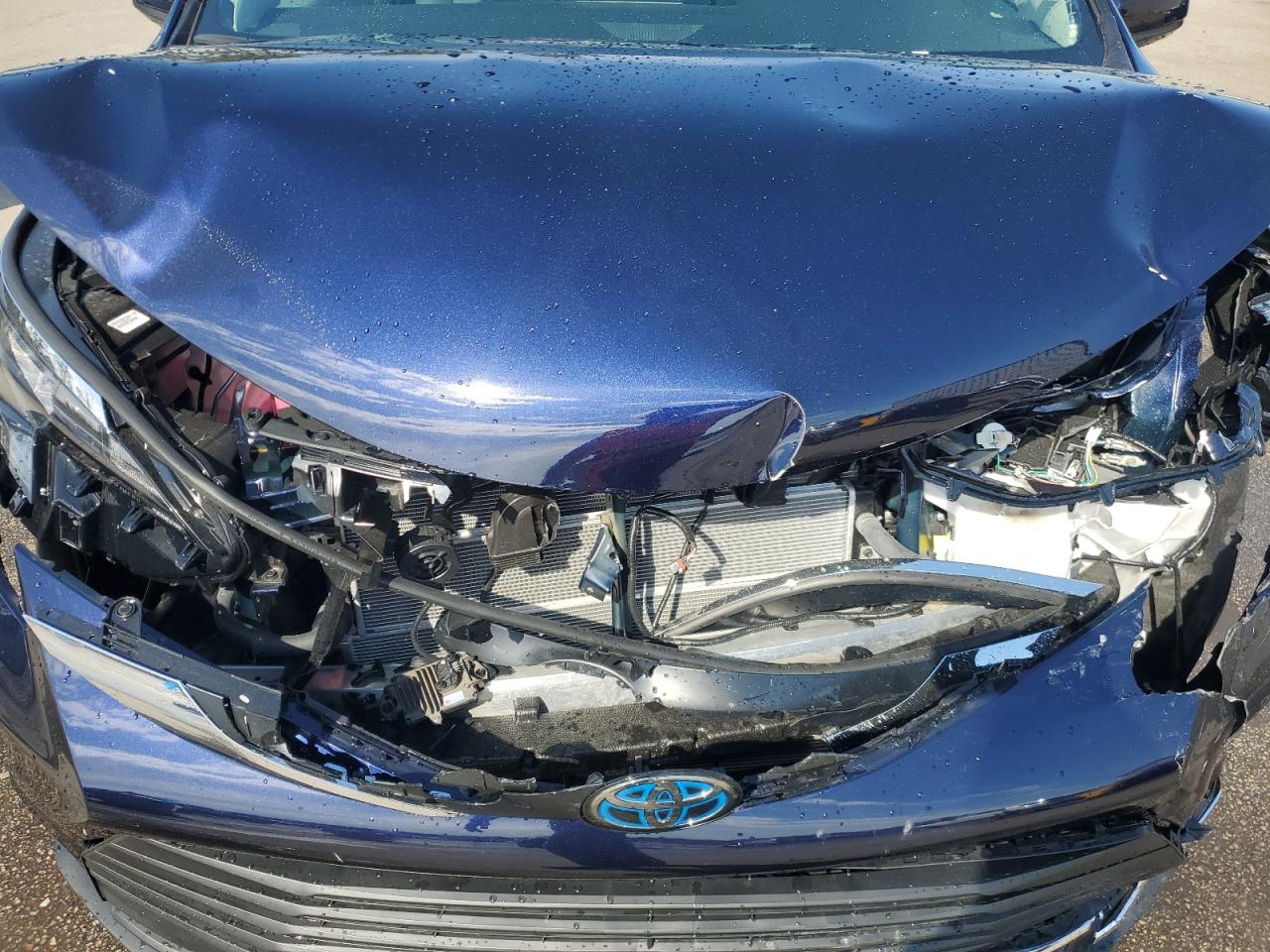 2024 TOYOTA SIENNA XLE VIN:5TDJRKEC4RS213245