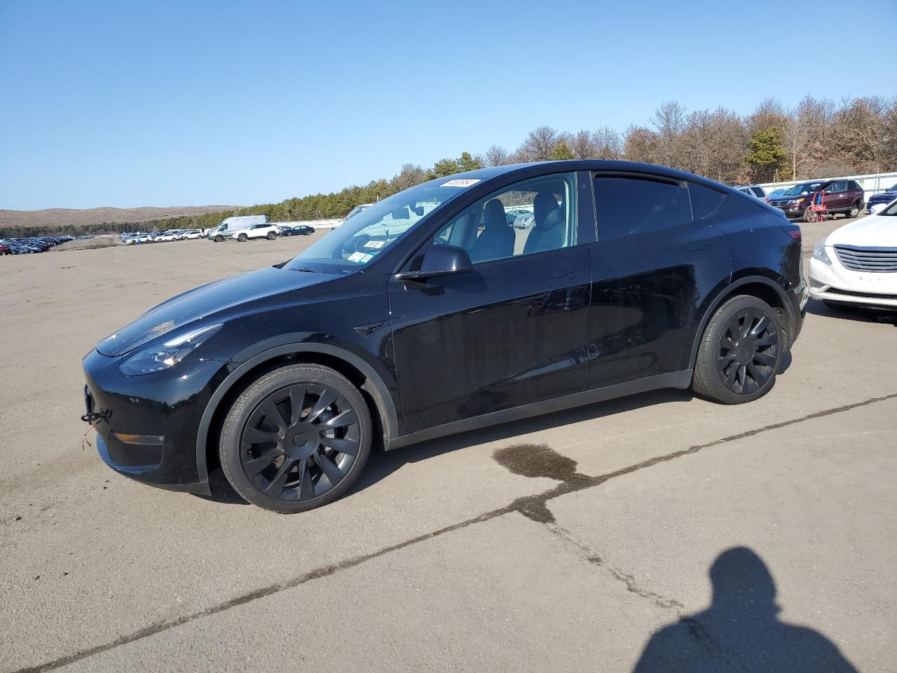 2023 TESLA MODEL Y  VIN:7SAYGAEE0PF608544