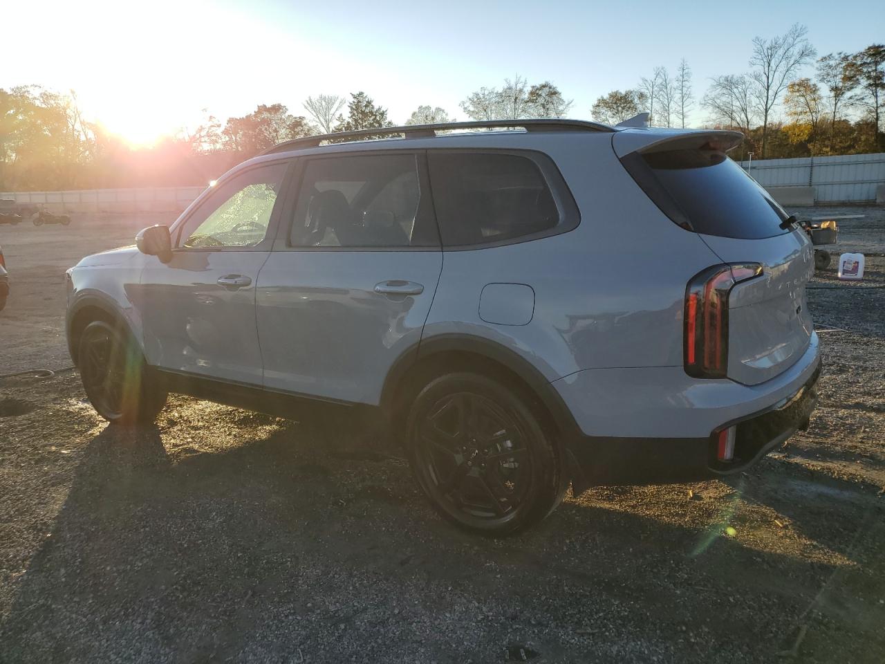 2024 KIA TELLURIDE EX VIN:5XYP3DGC6RG496748