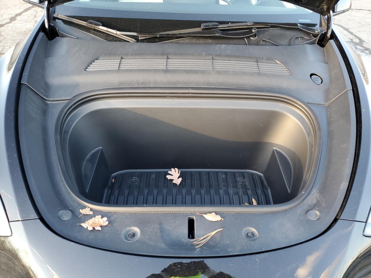 2024 TESLA MODEL Y  VIN:7SAYGDEEXRA271821