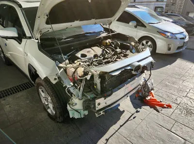 2019 Toyota RAV4 VIN: