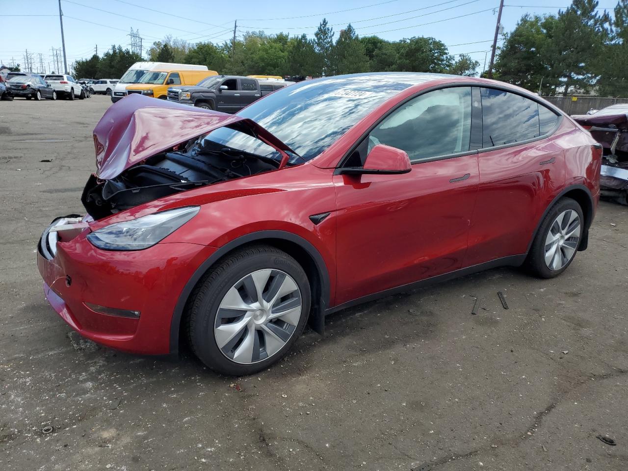 2024 TESLA MODEL Y  VIN:7SAYGDEE9RF067126