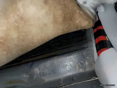 2021 BMW X4 M NONE VIN: