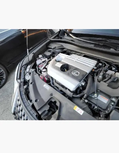 2020 Lexus UX 250 JTHP6JBH8L2070407 VIN:JTHP6JBH8L2070407