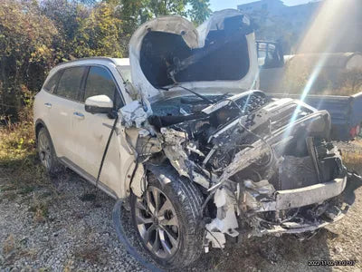 2021 Kia Sorento KNARH81BGMA087932 VIN:KNARH81BGMA087932
