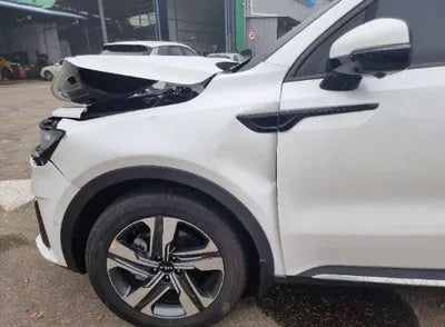 2023 Kia Sorento KNARJ81GBPA204006 VIN:KNARJ81GBPA204006