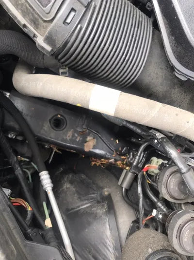 2020 Mercedes-Benz S 560 W1KUG8GB9LA528952 VIN:W1KUG8GB9LA528952