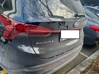 2021 Hyundai Santa FE KMHS381LGMU381390 VIN:KMHS381LGMU381390