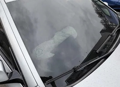 2016 BMW 528 WBA5A7101GG298633 VIN:WBA5A7101GG298633