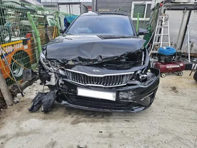 2019 Kia K5 KNAGU411BLA346256 VIN:KNAGU411BLA346256