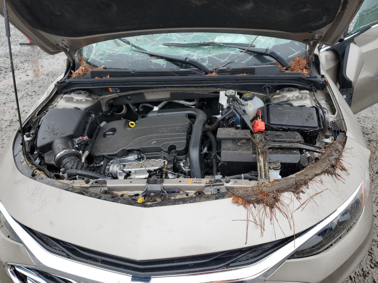 2024 CHEVROLET MALIBU LS VIN:1G1ZB5ST1RF247150