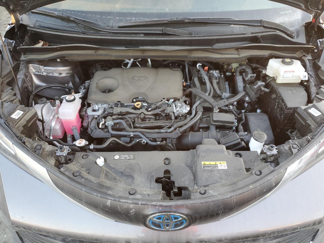 2023 TOYOTA SIENNA XLE VIN:5TDYRKEC1PS143649