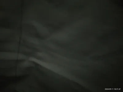 2023 Lexus RX 350 VIN: