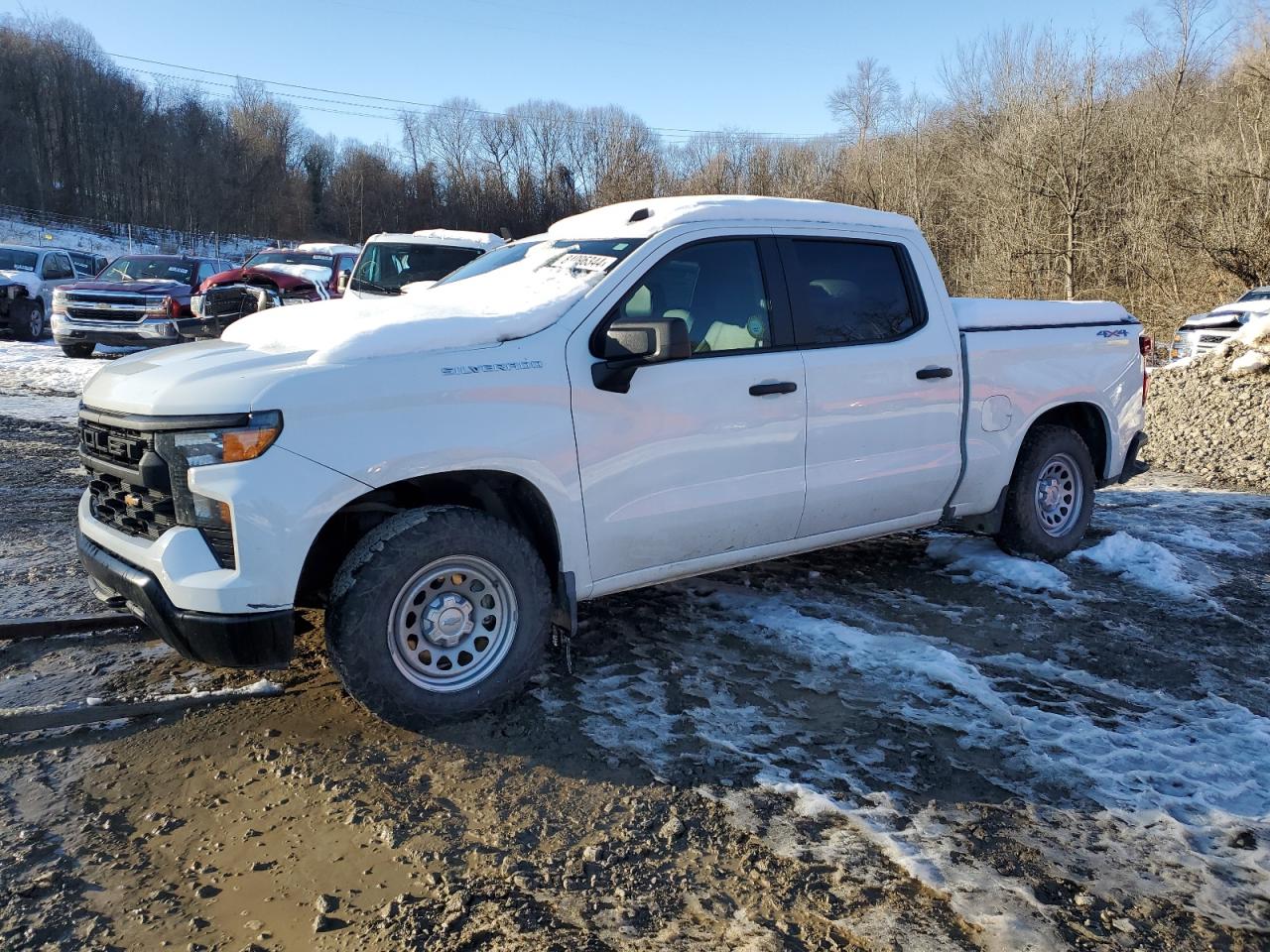 2023 CHEVROLET SILVERADO K1500 VIN:1GCPDAEK4PZ215020