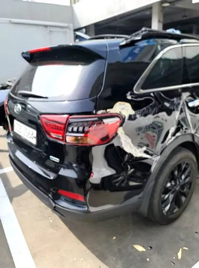 2020 Kia Sorento KNAPH81BBLA568054 VIN:KNAPH81BBLA568054
