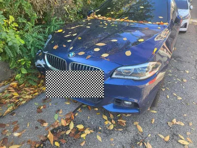 2016 BMW 520 WBA5E7106GG569500 VIN:WBA5E7106GG569500