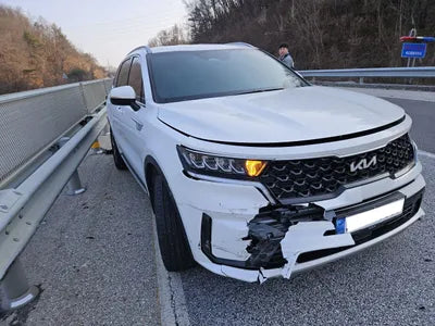 2022 Kia Sorento KNARH81FHPA186480 VIN:KNARH81FHPA186480