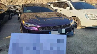 2020 Kia Stinger KNAE351DBMS093498 VIN:KNAE351DBMS093498