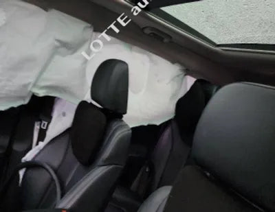 2020 Hyundai Santa FE KMHS281BBLU219597 VIN:KMHS281BBLU219597