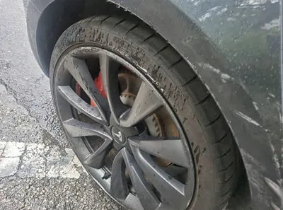 2020 Tesla Model 3 5YJ3E1EC9LF756312 VIN:5YJ3E1EC9LF756312