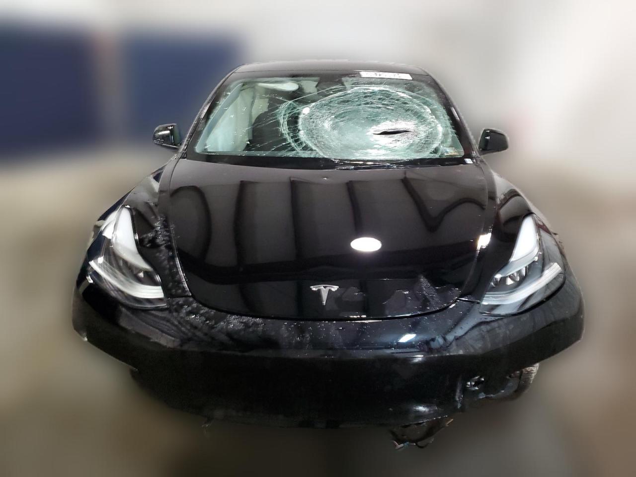 2023 TESLA MODEL 3  VIN:1G1AF5F53A7176450